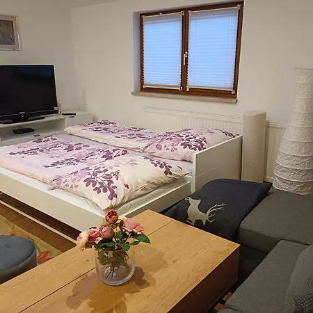 Haus Josef, Mit Balkon Und 2 Schlafzimmer * Bischofshofen